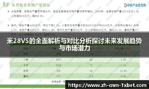 米28VS的全面解析与对比分析探讨未来发展趋势与市场潜力